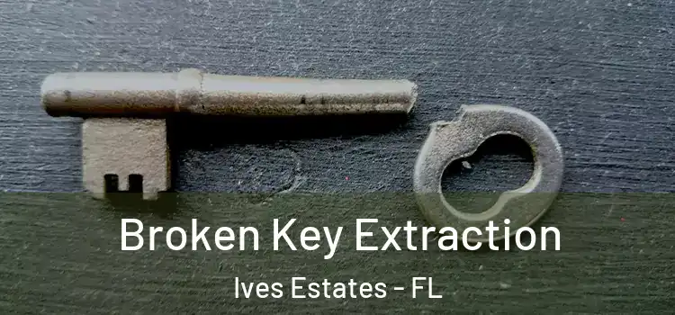  Broken Key Extraction Ives Estates - FL