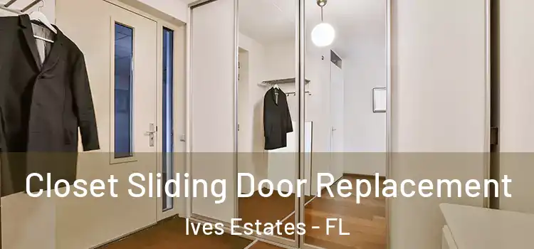  Closet Sliding Door Replacement Ives Estates - FL