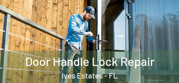Door Handle Lock Repair Ives Estates - FL