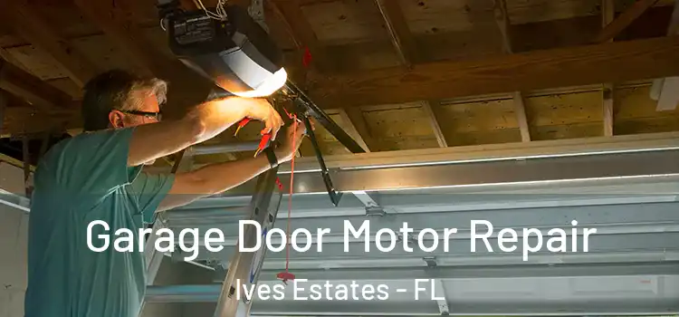  Garage Door Motor Repair Ives Estates - FL
