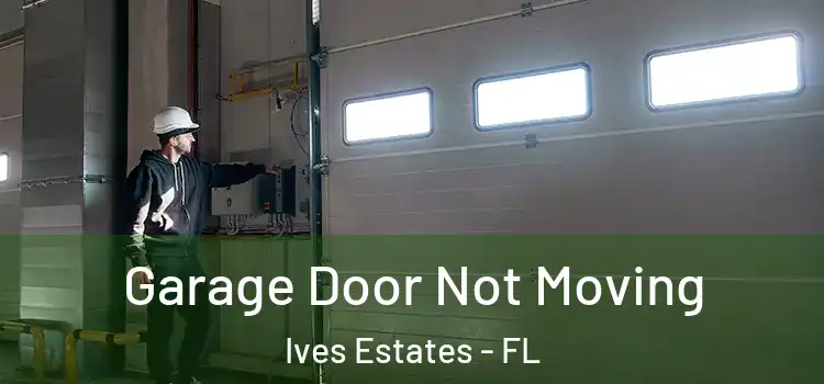  Garage Door Not Moving Ives Estates - FL