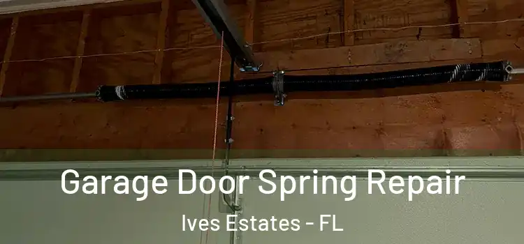  Garage Door Spring Repair Ives Estates - FL