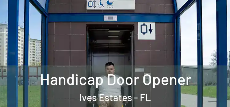 Handicap Door Opener Ives Estates - FL