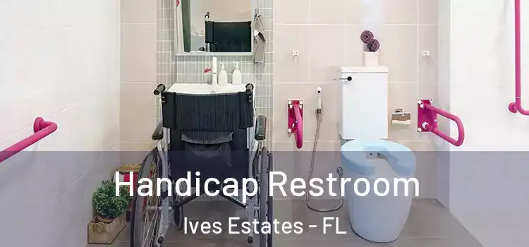  Handicap Restroom Ives Estates - FL