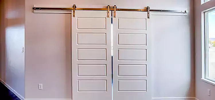 Glass Barn Door with Installation Hardware Kit Ives Estates