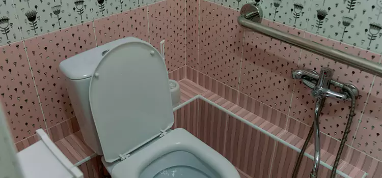 Meeting Diverse Needs With Accessible Restroom Solutions in Ives Estates, FL