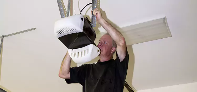 Garage Door Opener Service Ives Estates