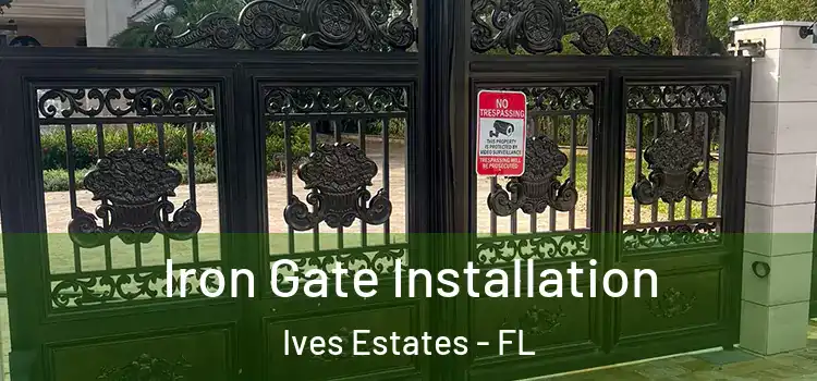  Iron Gate Installation Ives Estates - FL