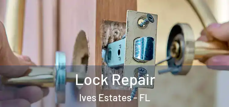  Lock Repair Ives Estates - FL