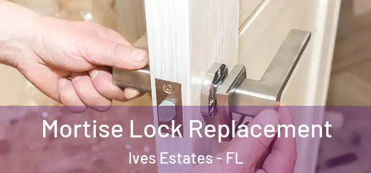 Mortise Lock Replacement Ives Estates - FL