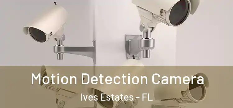  Motion Detection Camera Ives Estates - FL