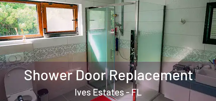 Shower Door Replacement Ives Estates - FL