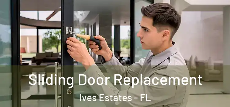 Sliding Door Replacement Ives Estates - FL